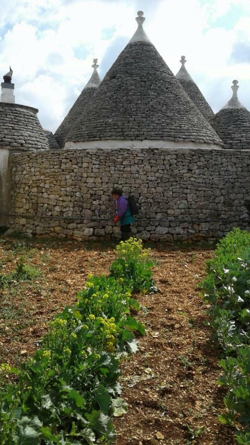הוילה לוקורוטונדו Trulli Di Nonna Palma מראה חיצוני תמונה